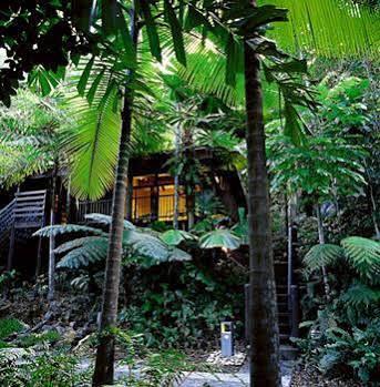 Cape Tribulation Resort & Spa Buitenkant foto